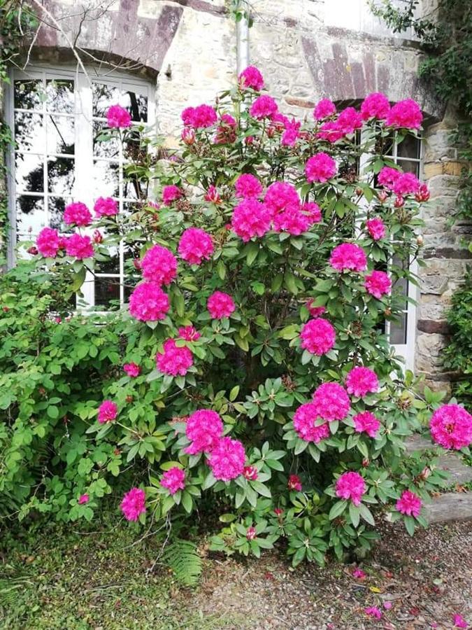 Manoir Du Tertre Au Coeur De La Foret De Broceliande Hotel Paimpont Exterior foto