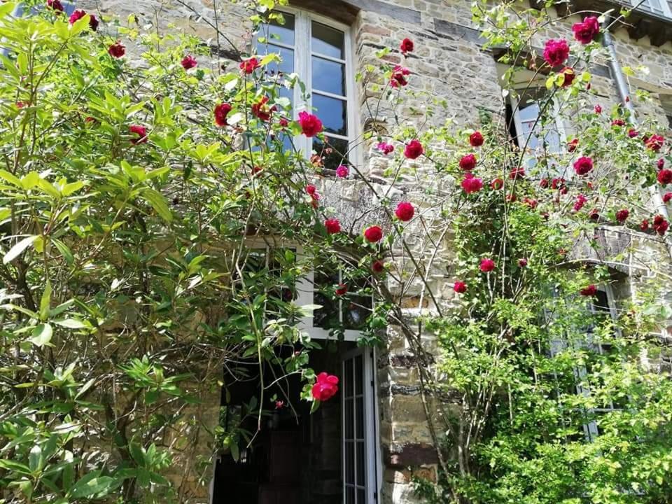 Manoir Du Tertre Au Coeur De La Foret De Broceliande Hotel Paimpont Exterior foto